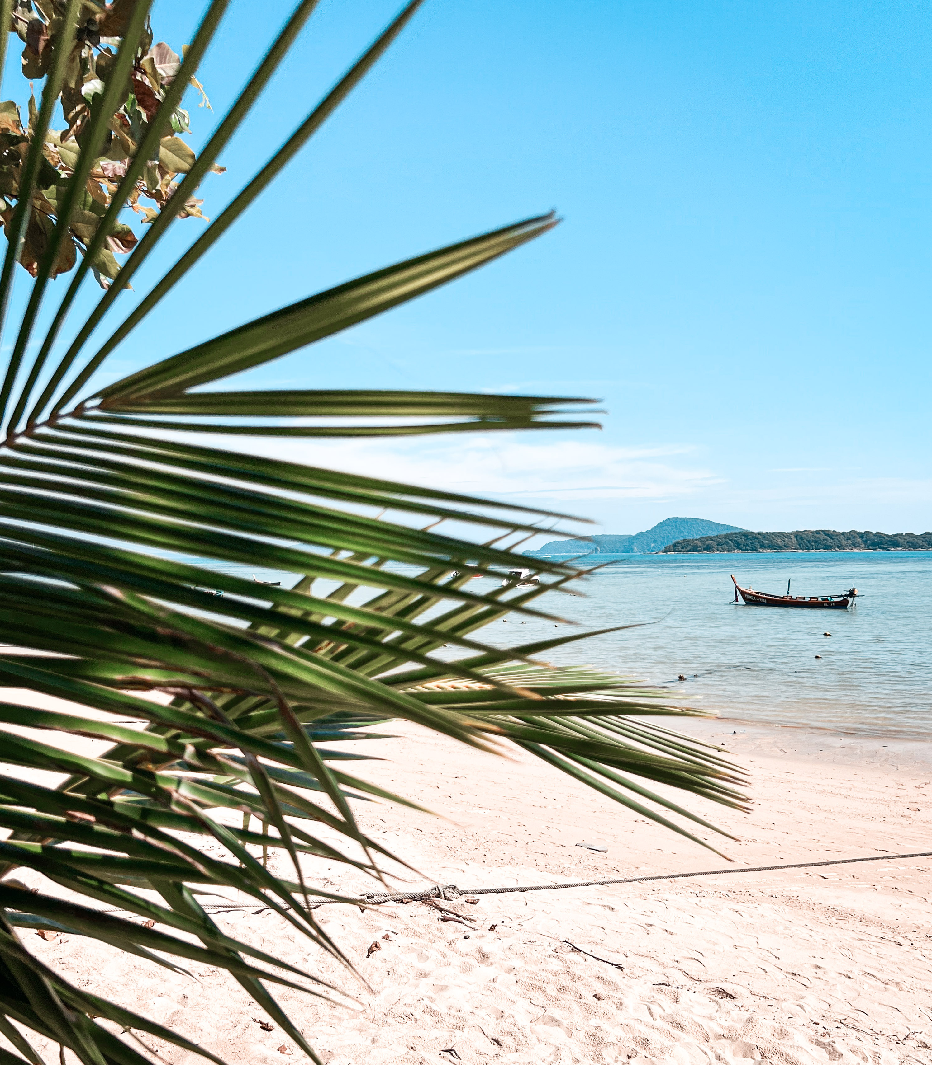 Portfolio work by Kassia