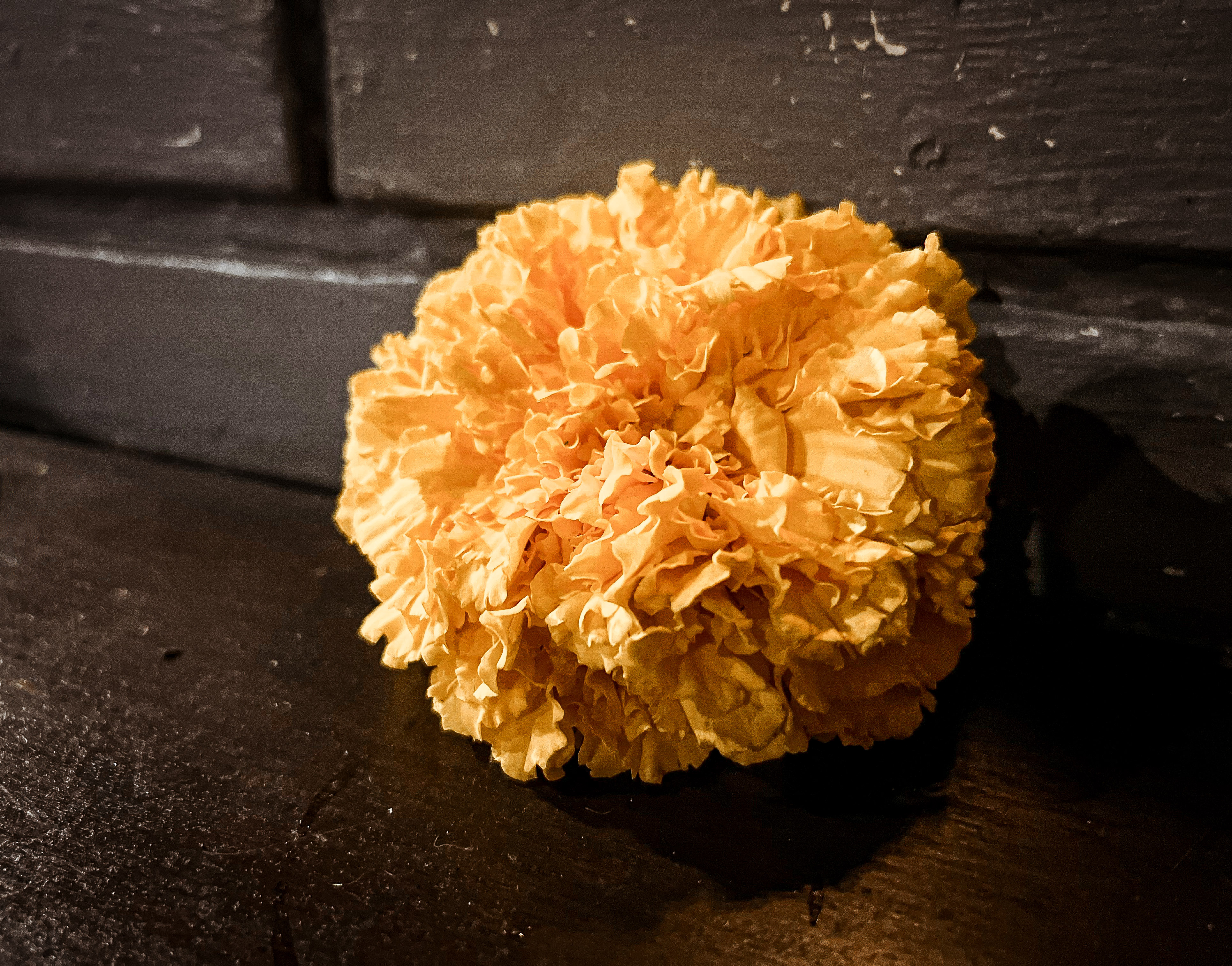 Portfolio work by Kassia